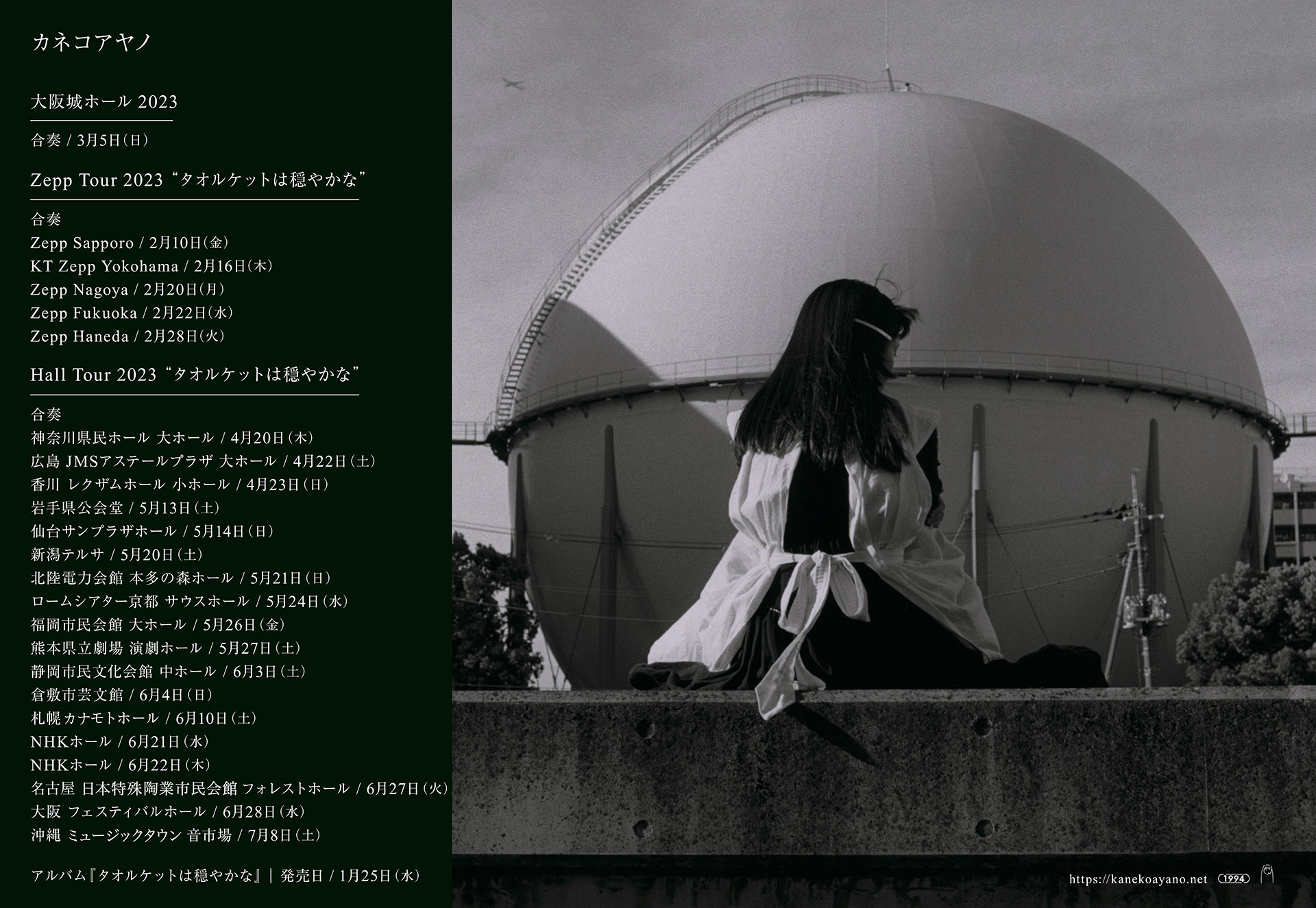 NEW限定品】 新品 カネコアヤノ タオルケットは穏やかな アルバム LP レコード 限定盤